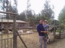 Imagen de angelnaranjo