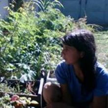 Imagen de Pancha Cruz