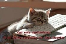 Imagen de claudiabm
